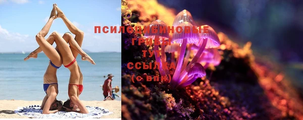 экстази Бородино
