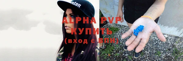 экстази Бородино