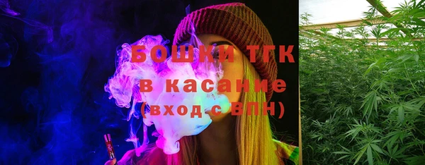 экстази Бородино